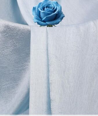 110GSM Satin Krimpstof - Lichtzinnig zijdeachtig polyester met krimpgevoeligheid voor elegante jurken